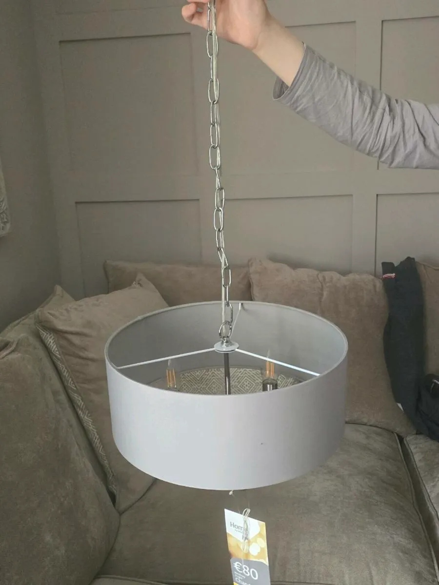 Lampshade - Image 1