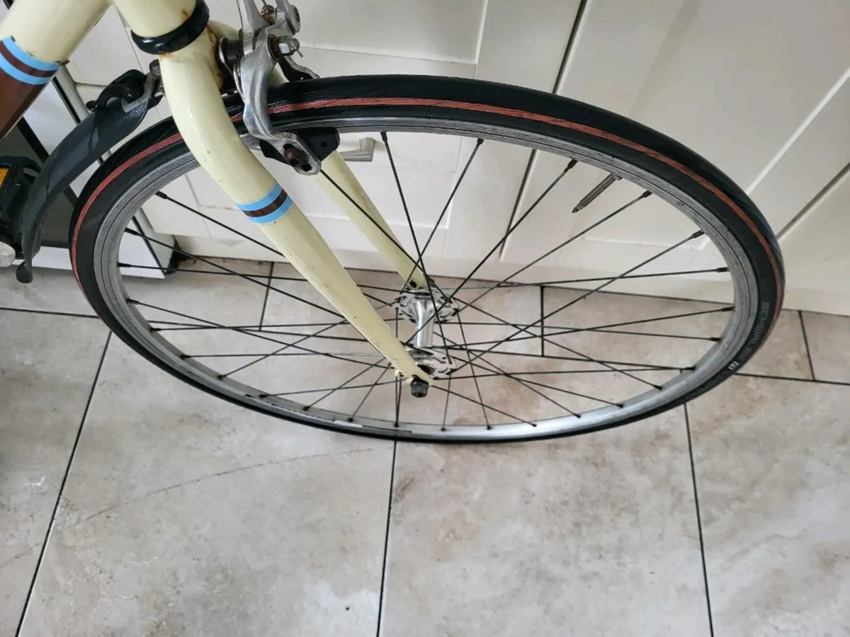 Bike XL FIXI - Image 2