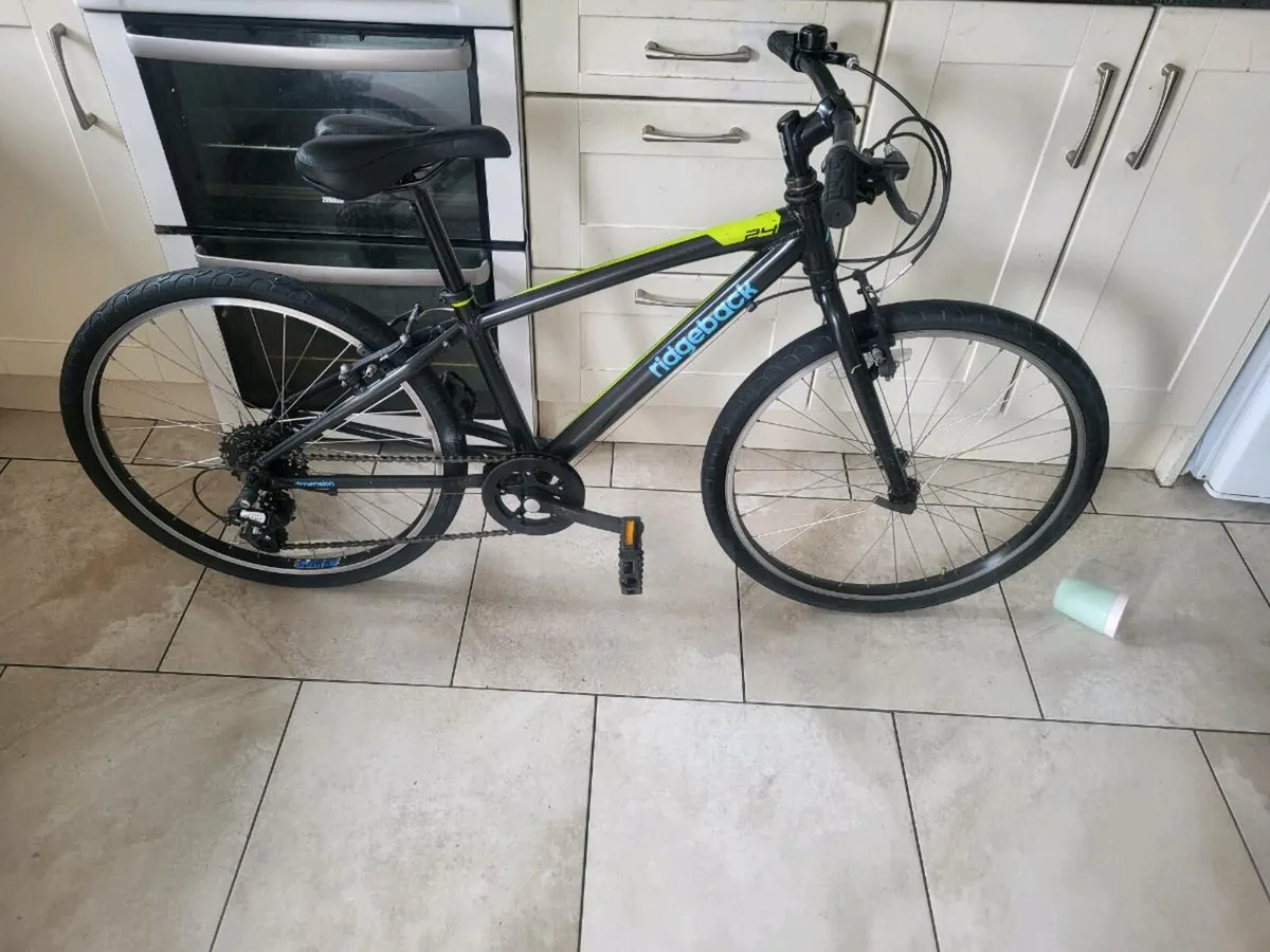 Bike - Image 1