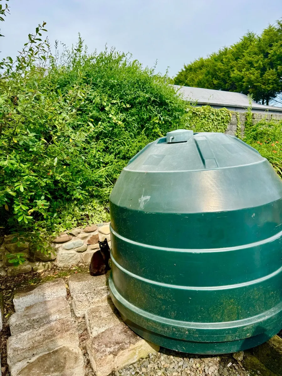 1000L Oil Tank - Need Gone Today - Image 2