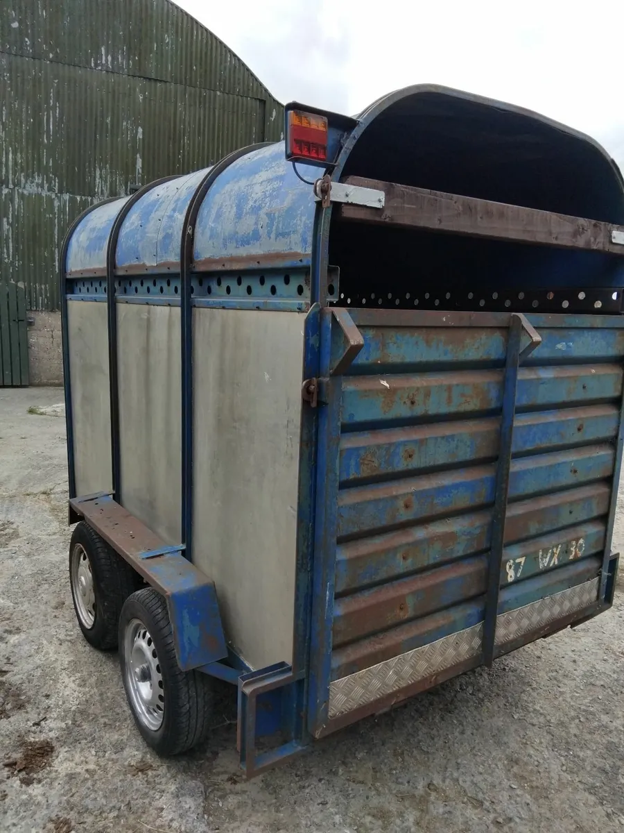 Dooley cow box - Image 1