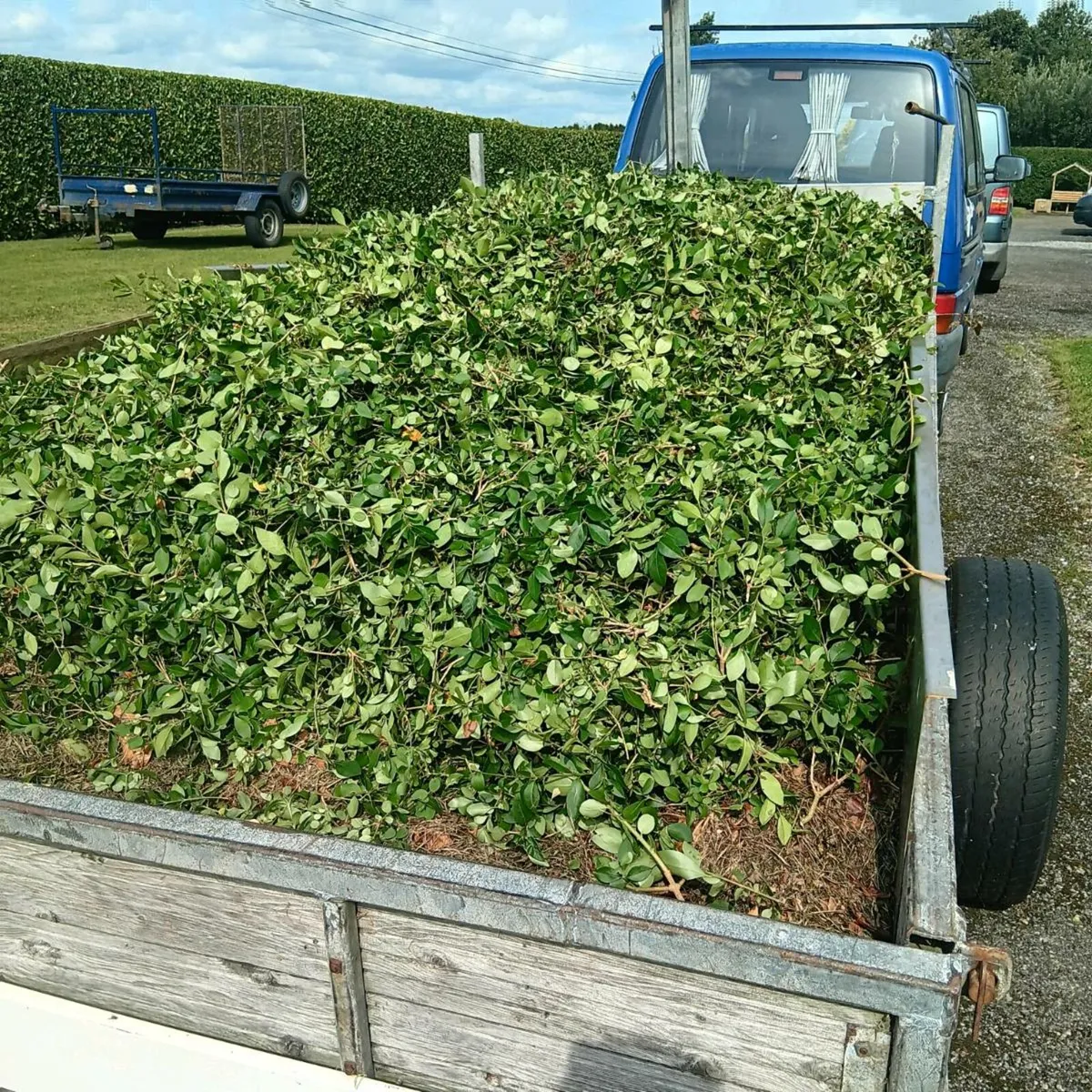 Galvanised 10ft × 5ft tipping trailer - Image 3