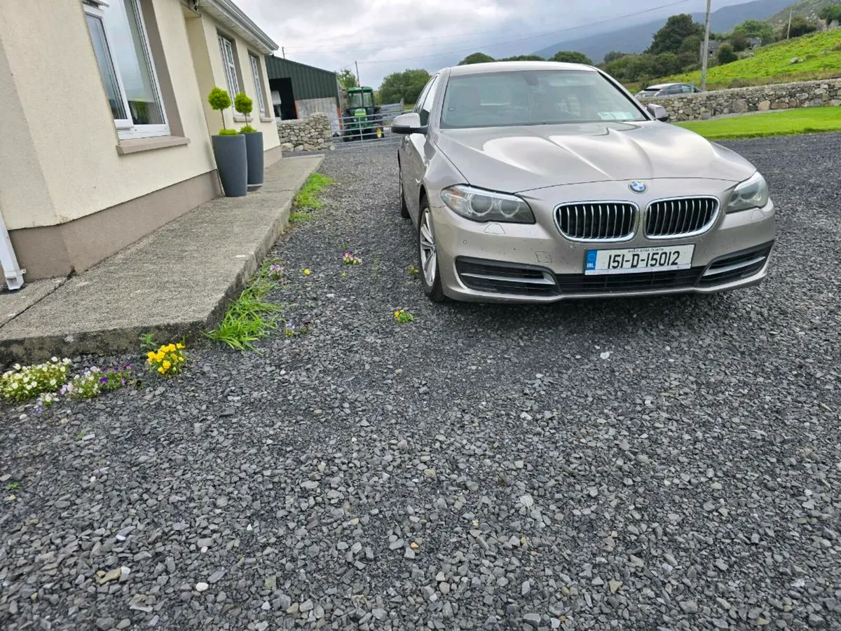 Bmw 518d 210HP - Image 1