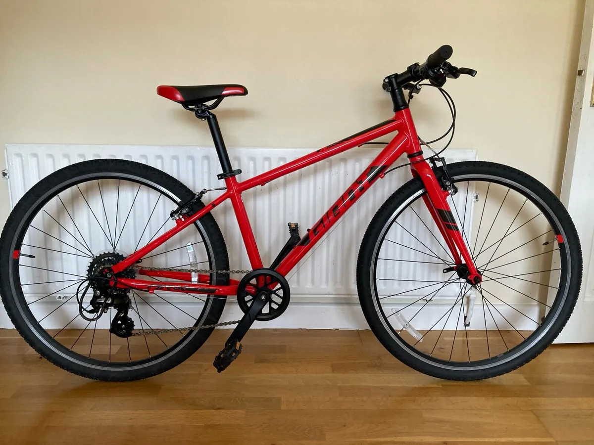 Bike - Image 1