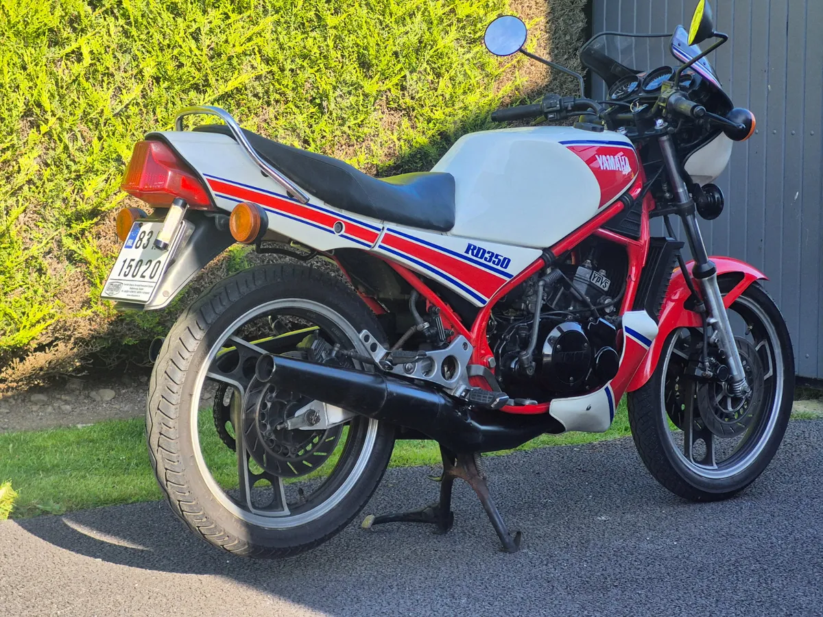 YAMAHA RD 350 ypvs 31k  1983 - Image 2