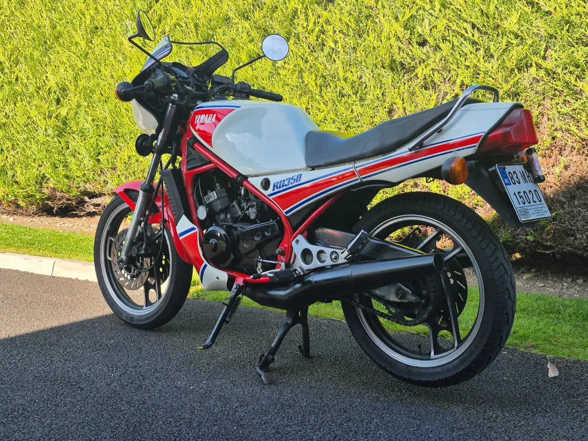 YAMAHA RD 350 ypvs 31k  1983 - Image 4