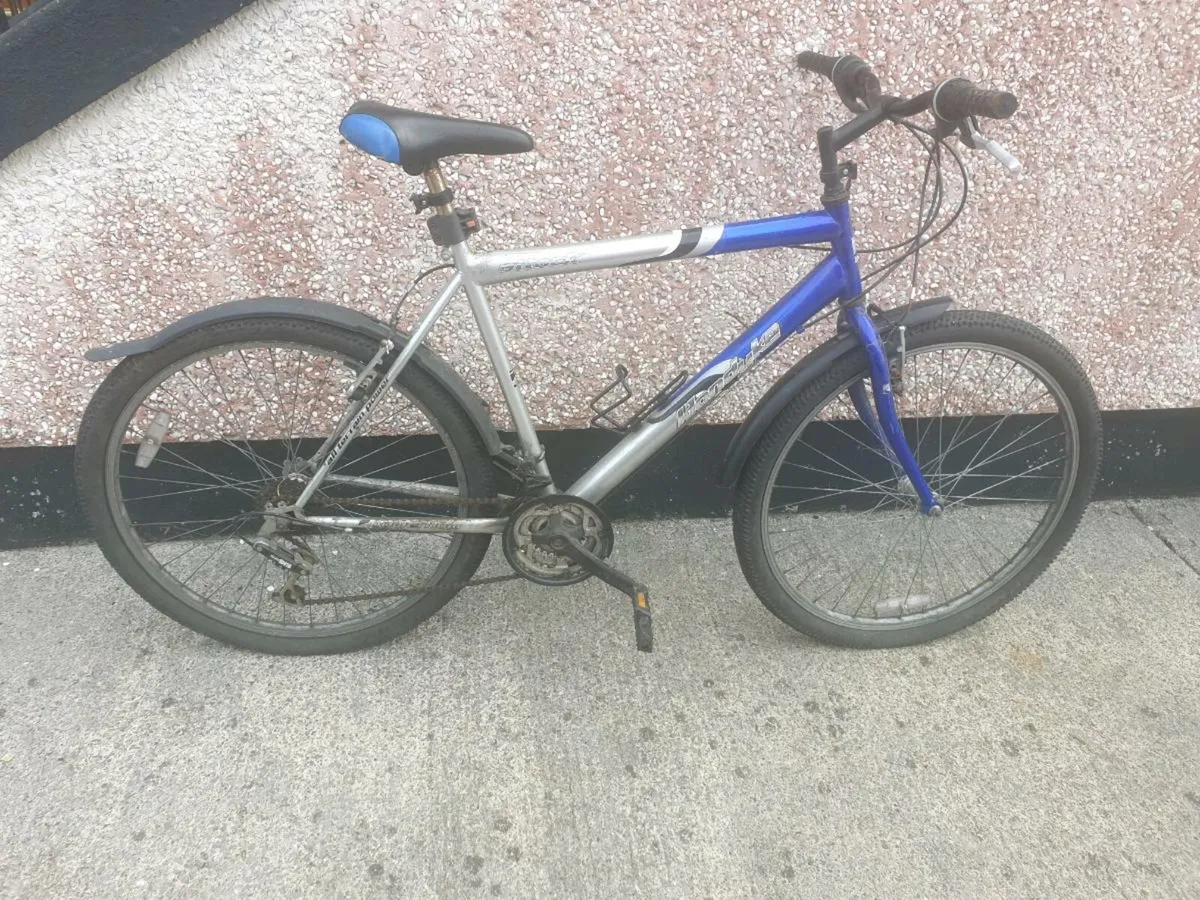 ADULTS BIKE - Image 1