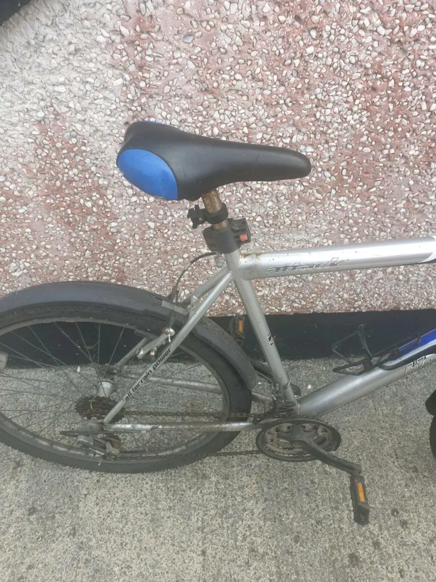 ADULTS BIKE - Image 3