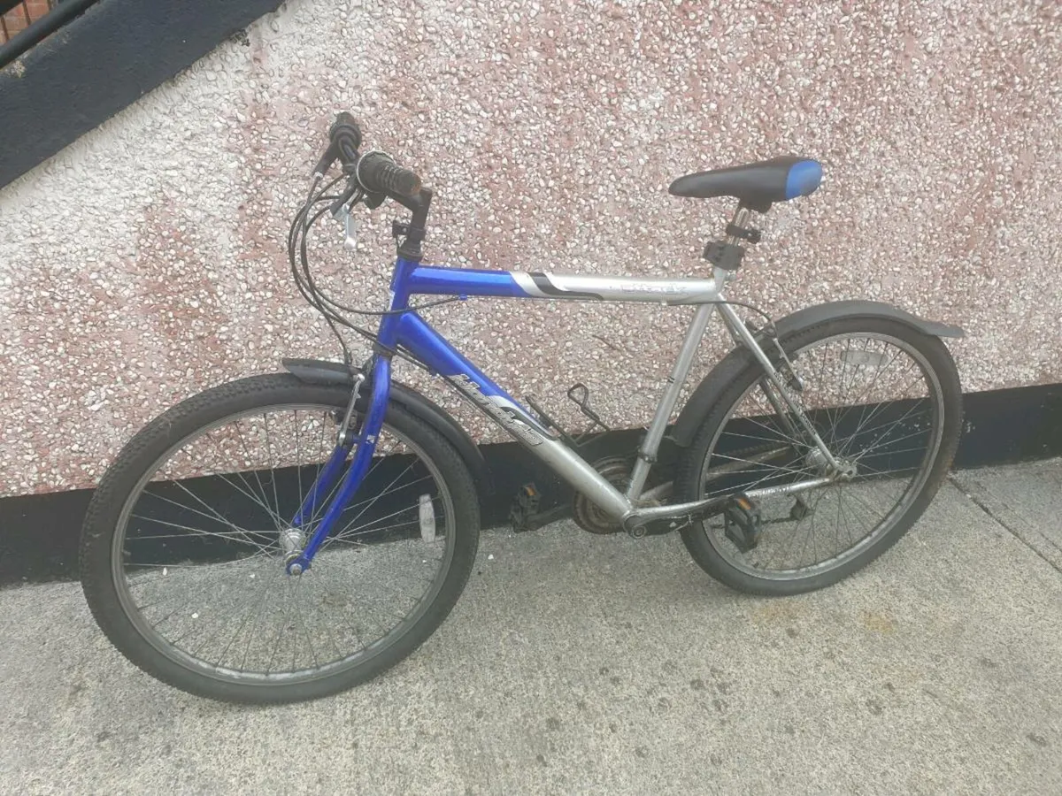 ADULTS BIKE - Image 4