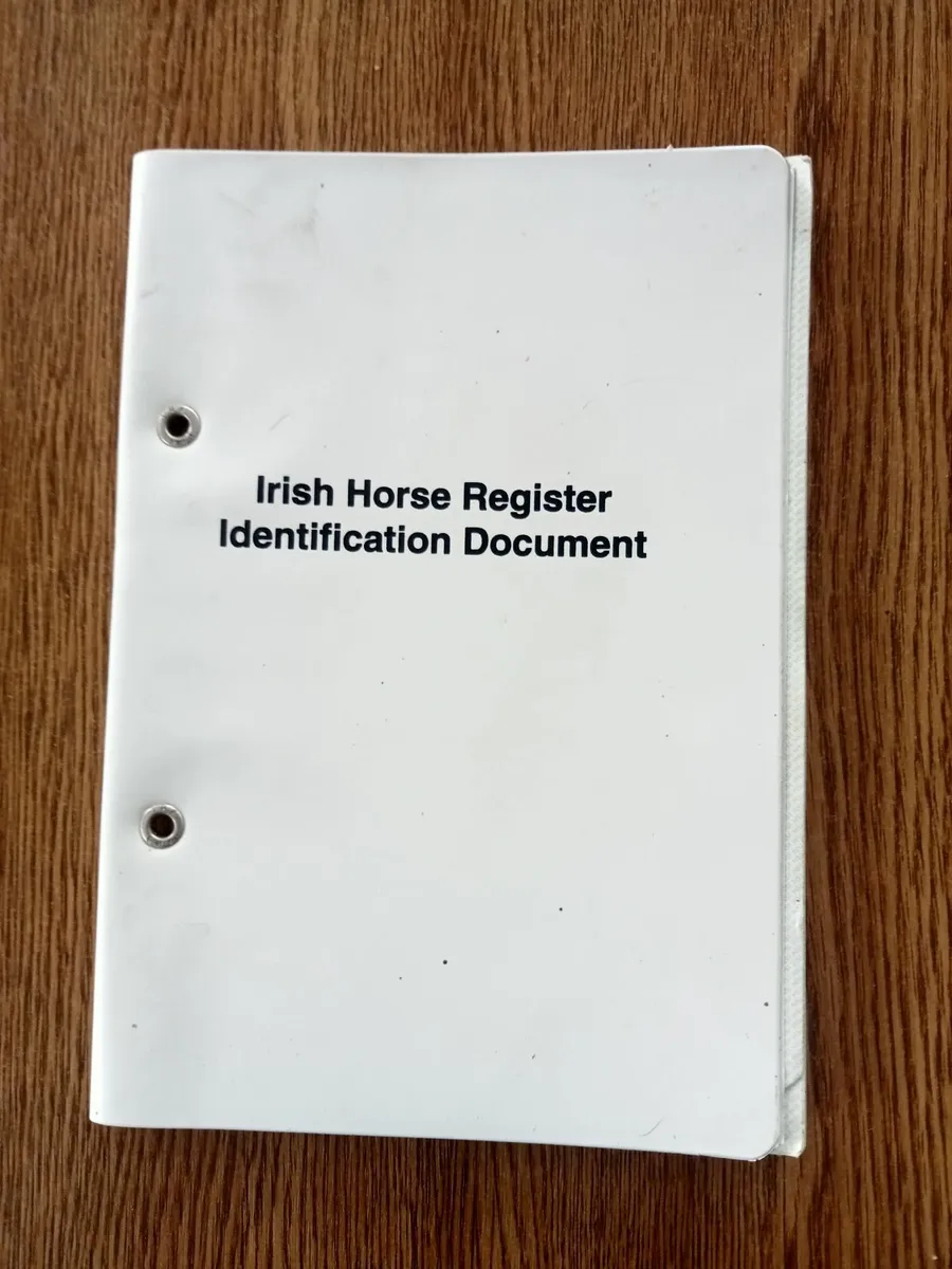 Horse - Image 4