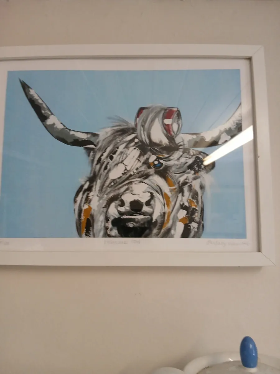 Lovely numbered and signed print highland cow - Image 2