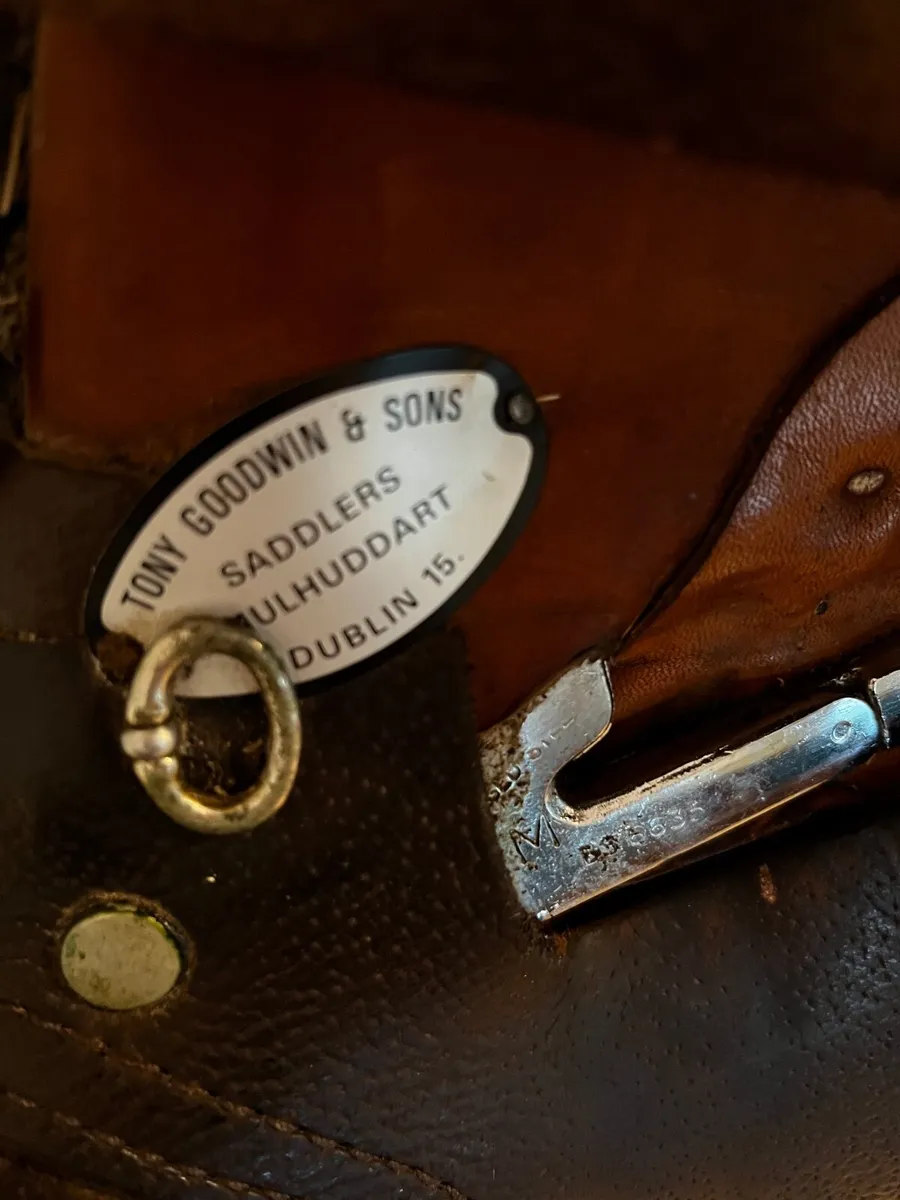 Saddle - Image 2