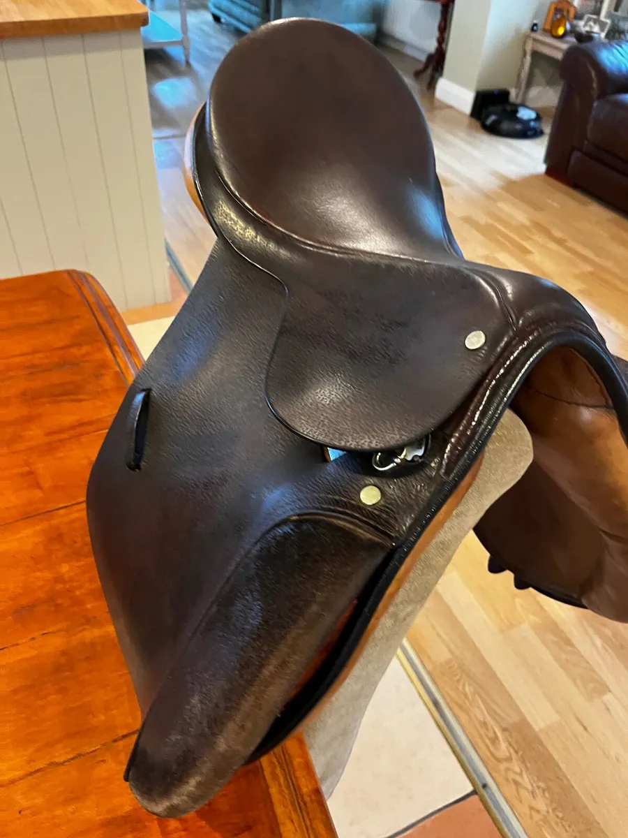 Saddle - Image 3