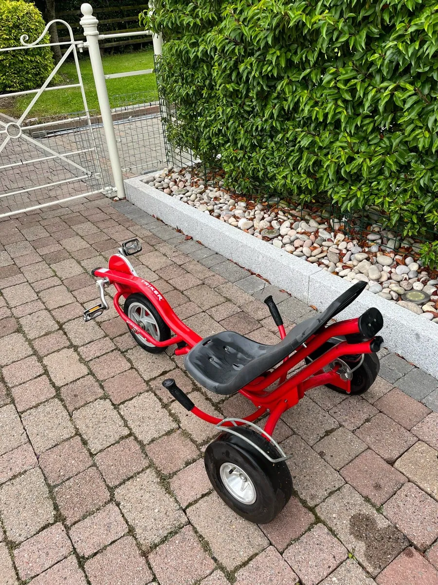 Large Triker - Image 2