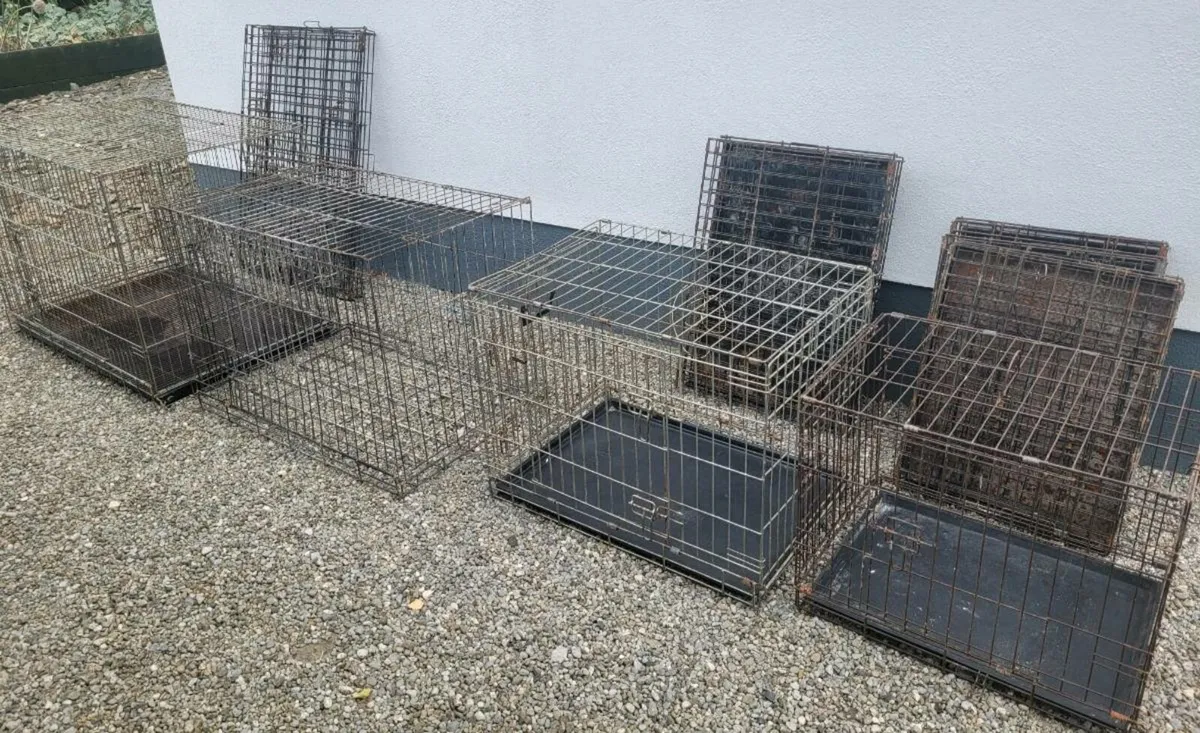 Dog Cages - Image 2
