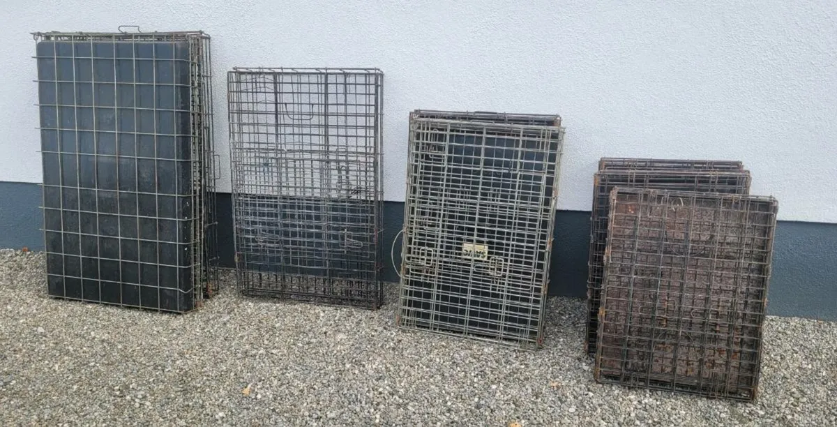 Dog Cages - Image 3