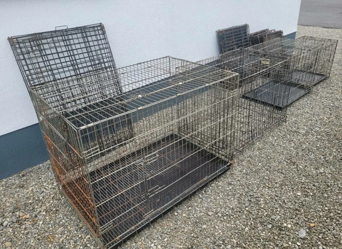 Dog Cages - Image 4