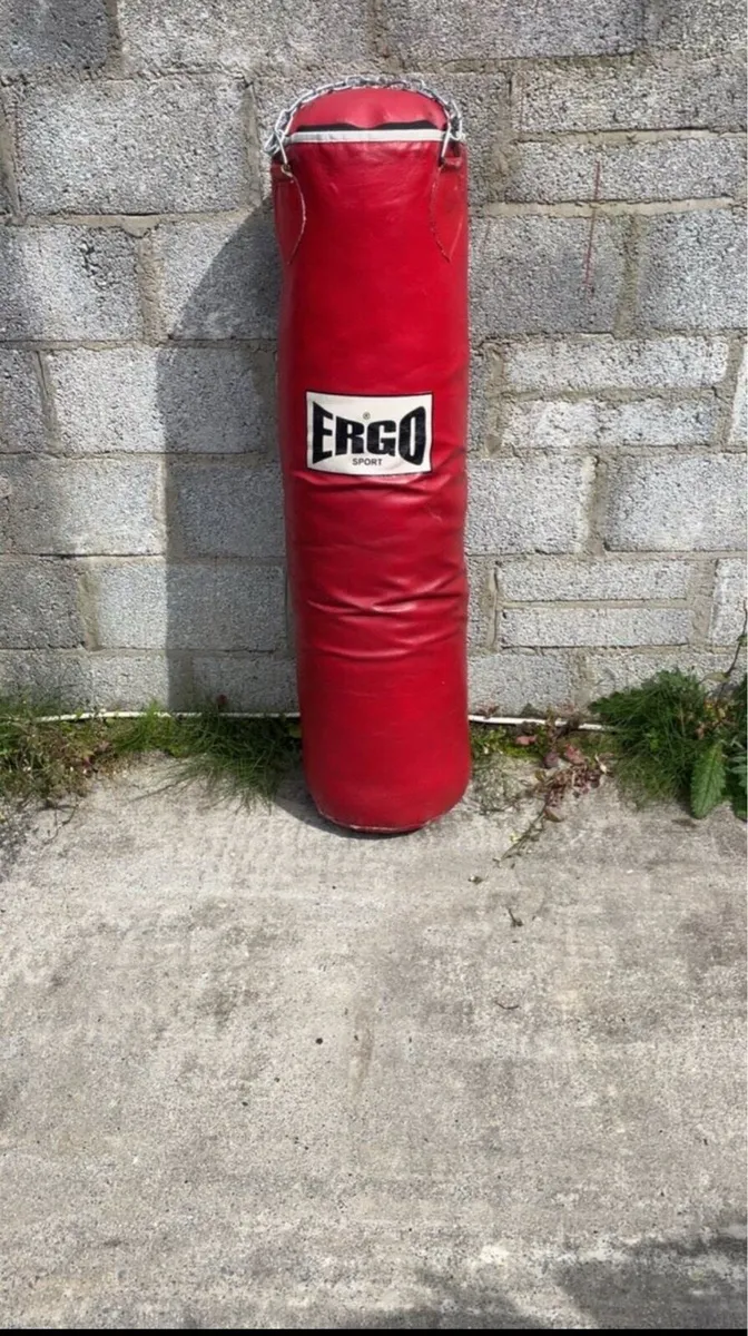ERGO Punch Bag