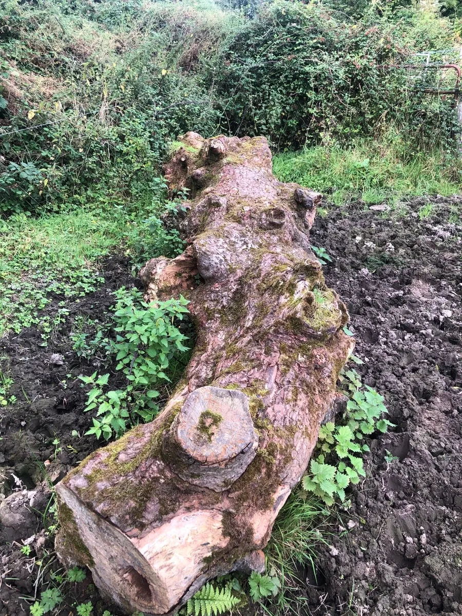Garden features - Image 2