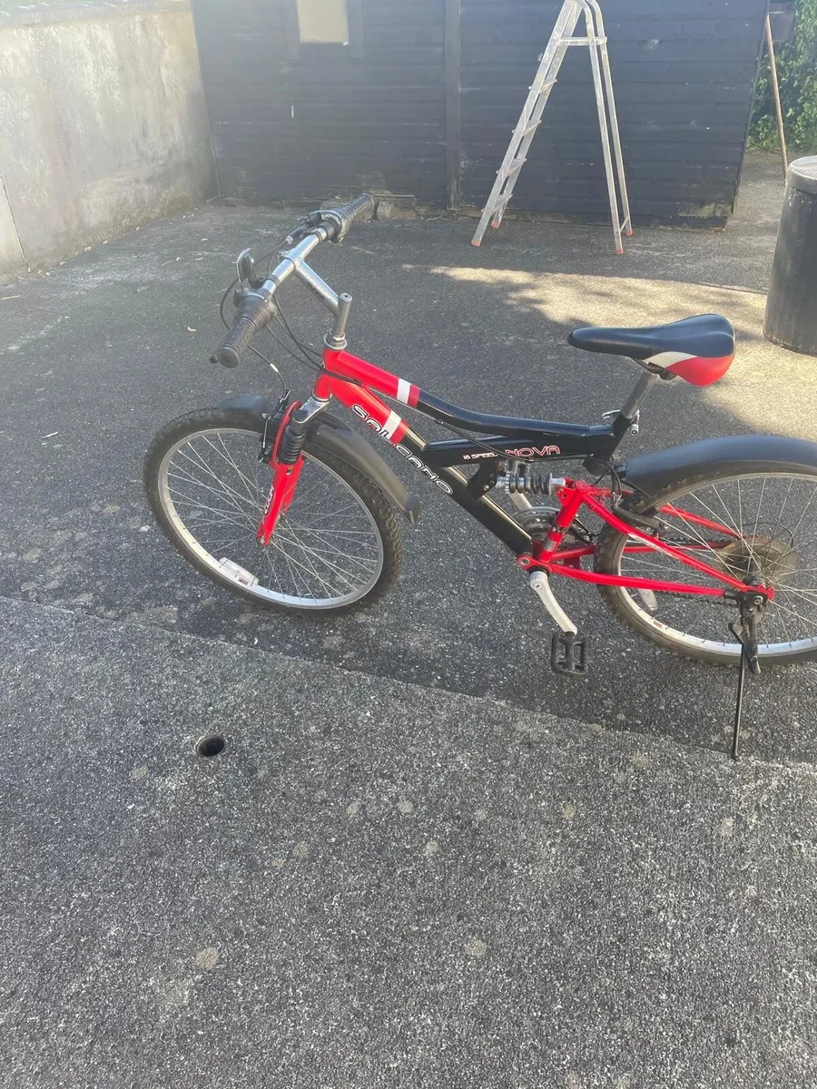 Bicycle - Image 1