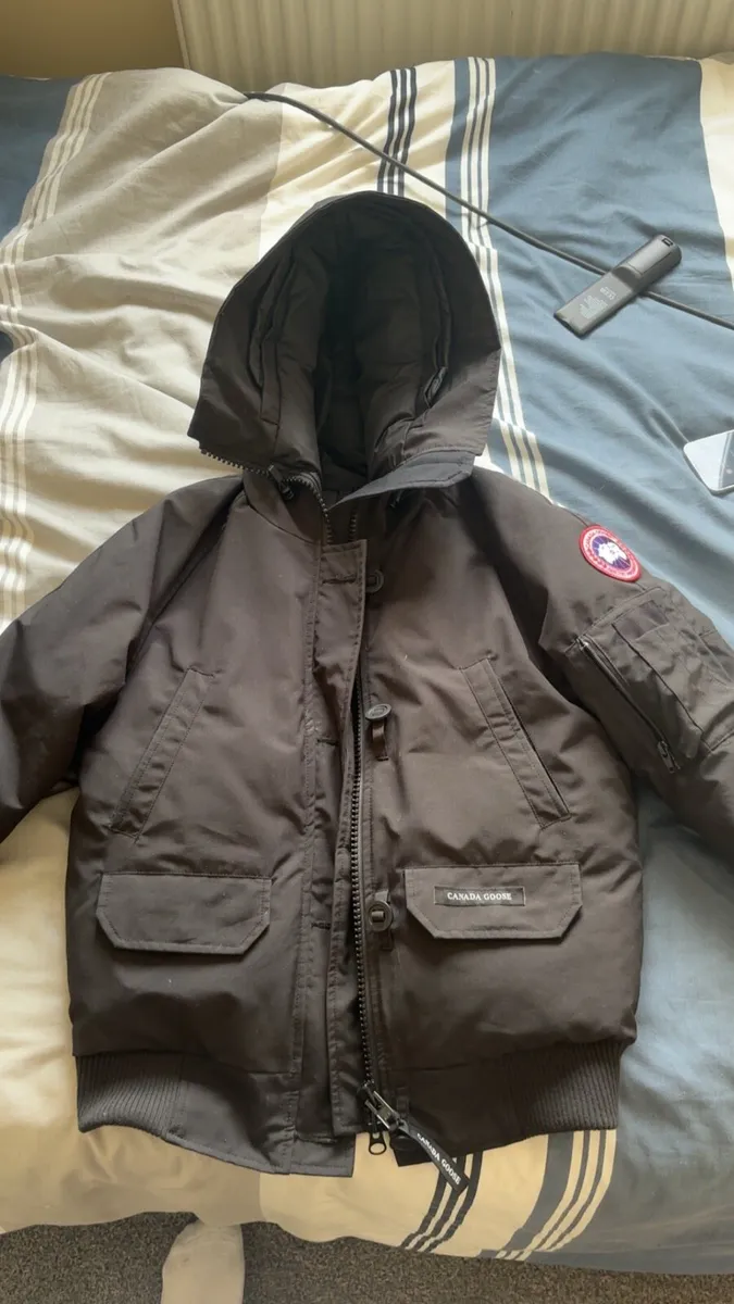 Canada goose - Image 1