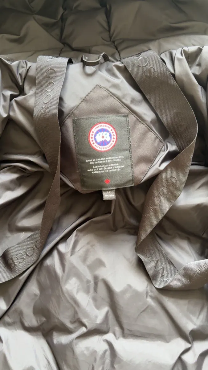 Canada goose - Image 3