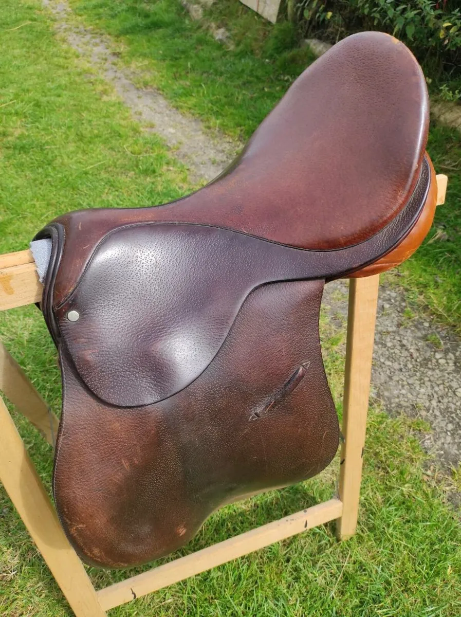 Saddle & Helmets - Image 1