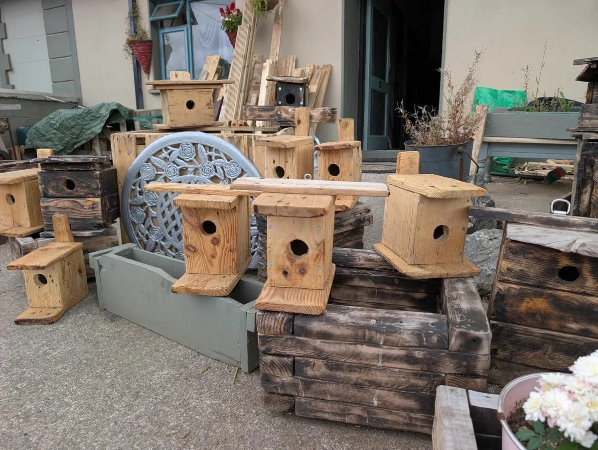 Bird and window boxes - Image 1
