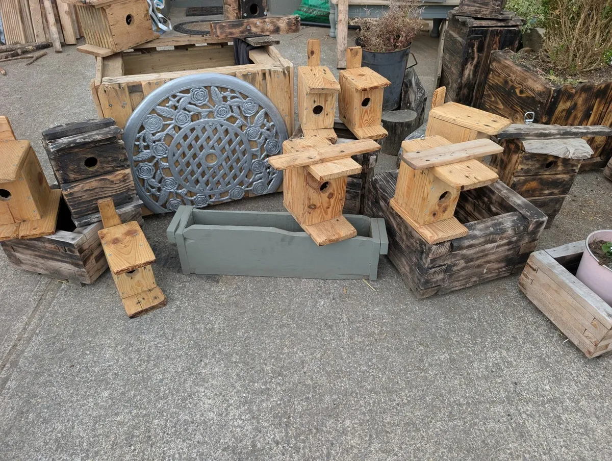 Bird and window boxes - Image 2
