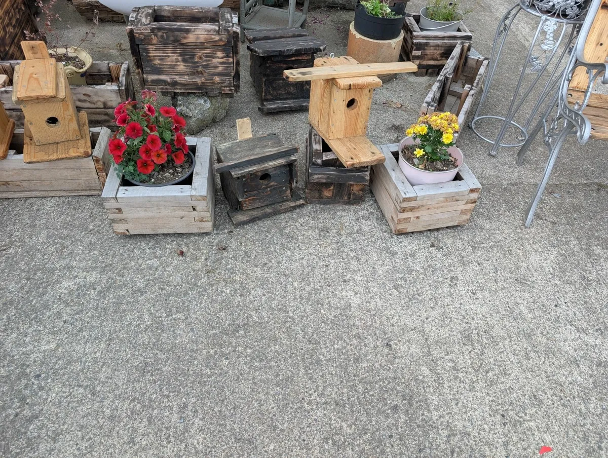 Bird and window boxes - Image 3