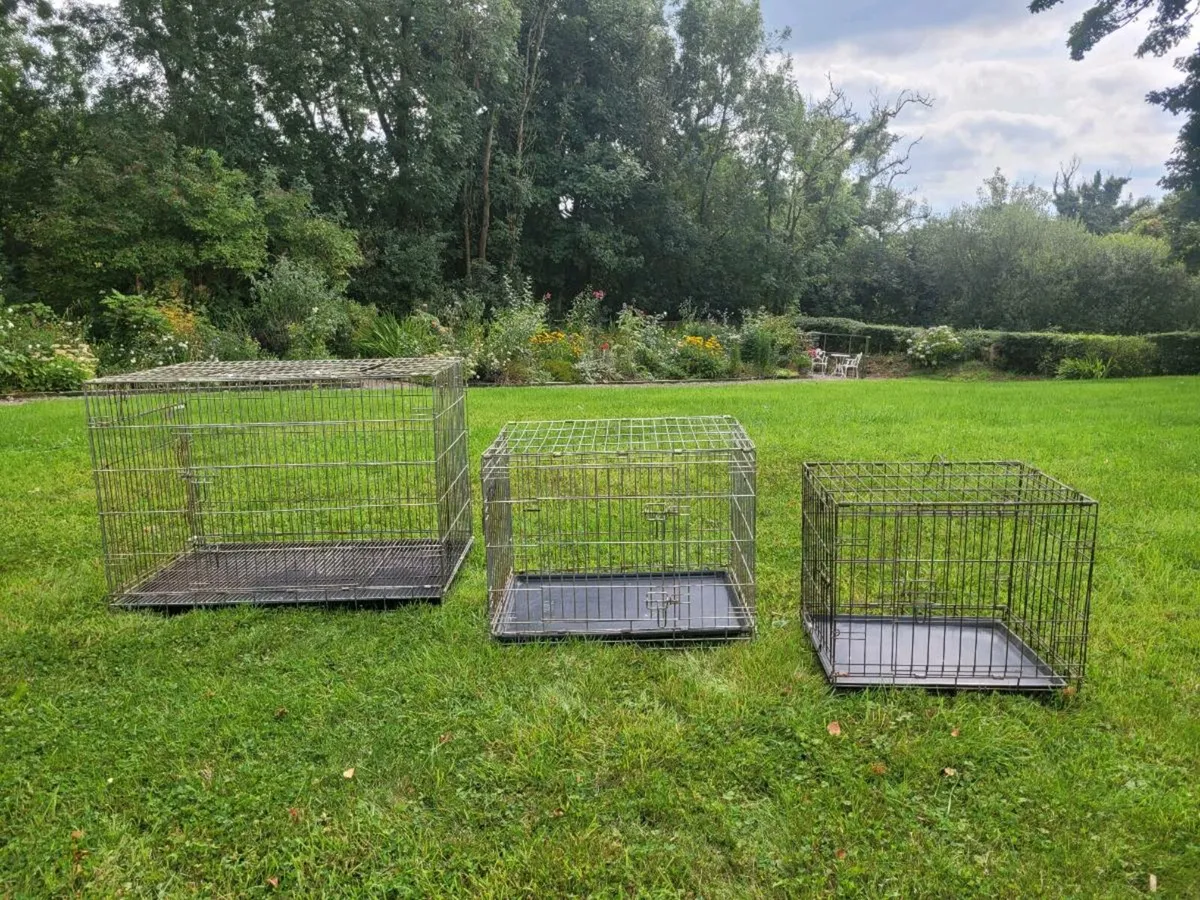 Dog Cages - Image 1