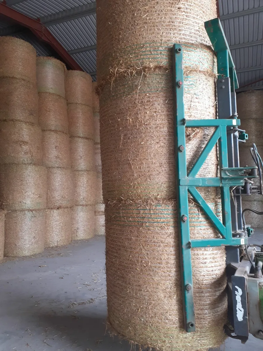 Barley straw - Image 1