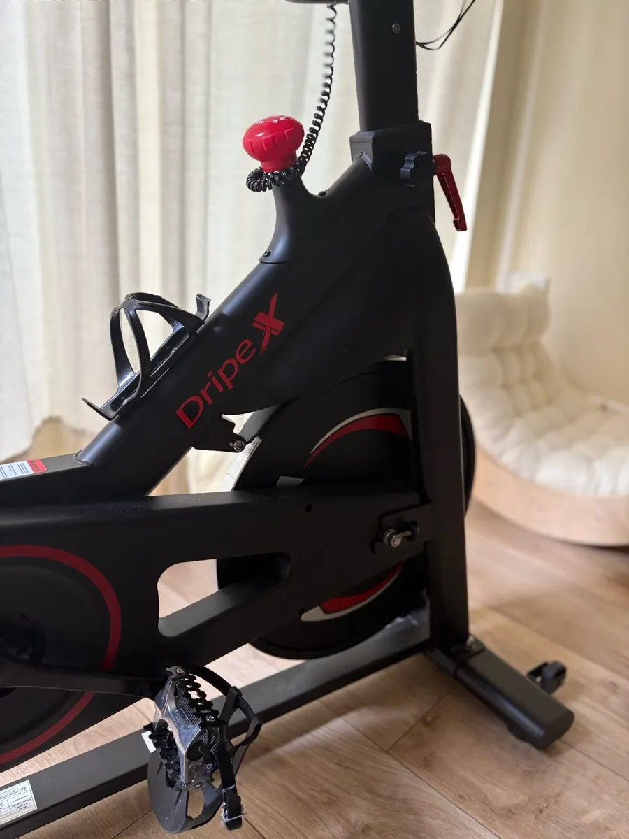 Cocking bike - Image 2