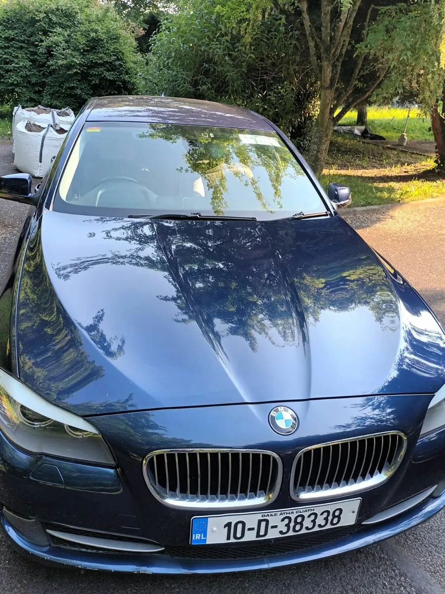 BMW 5-Series 2010 - Image 2