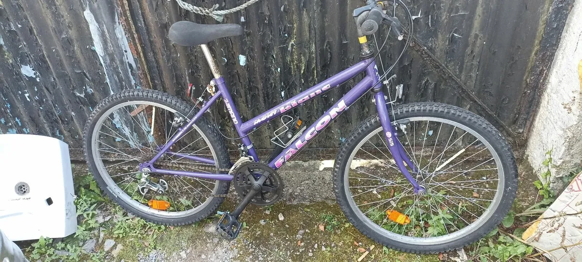 Ladies Bike - Image 1