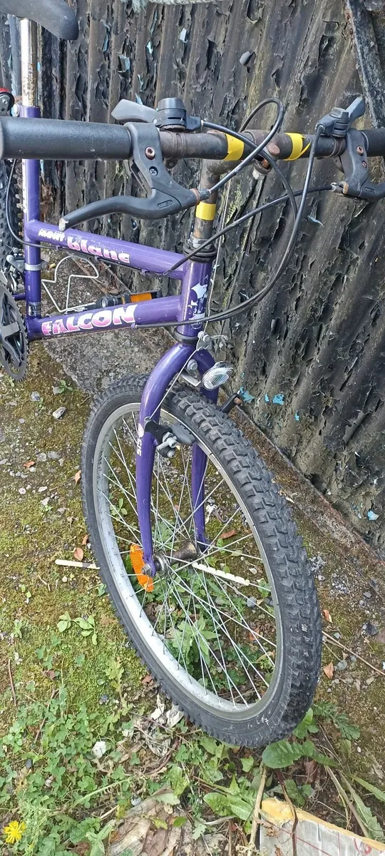 Ladies Bike - Image 2