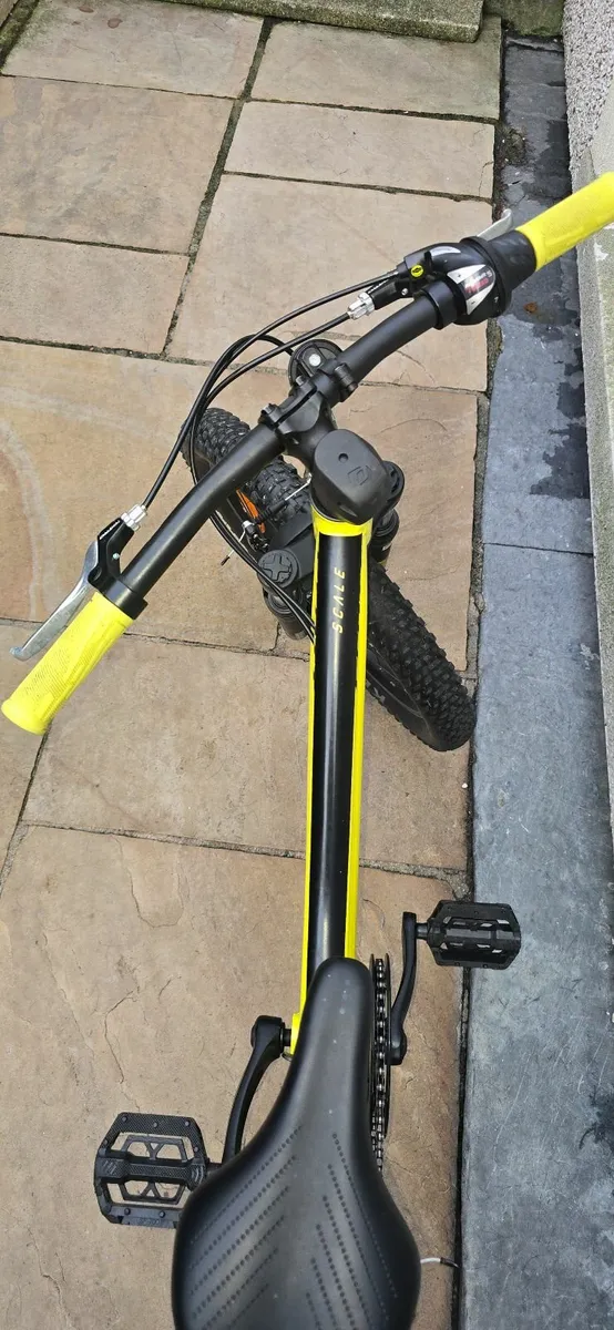 Bike - Image 2