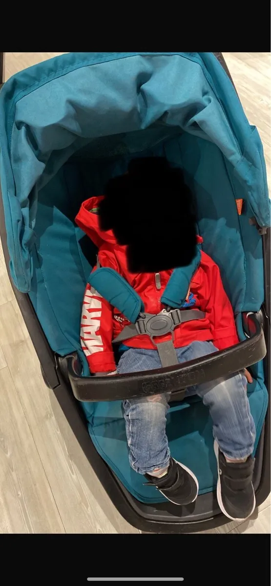 Buggy - Image 1