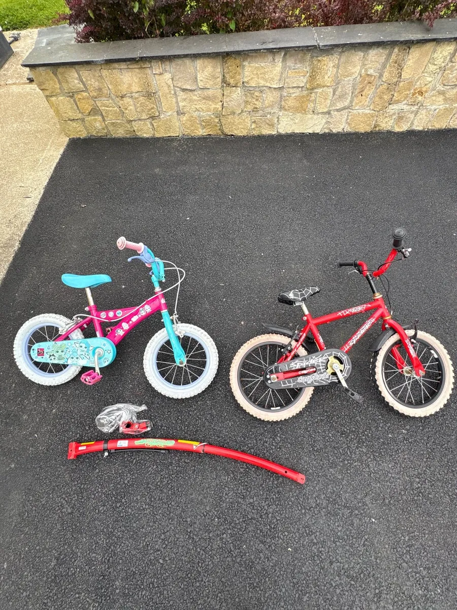 Boys & Girl Bike & Trail Gator - Image 1