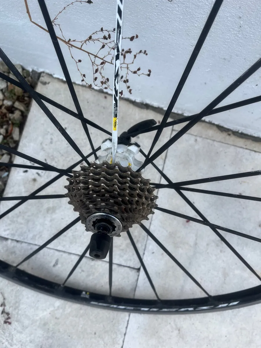 Mavic  Ksyrium SLS tubular Wheel Set - Image 3