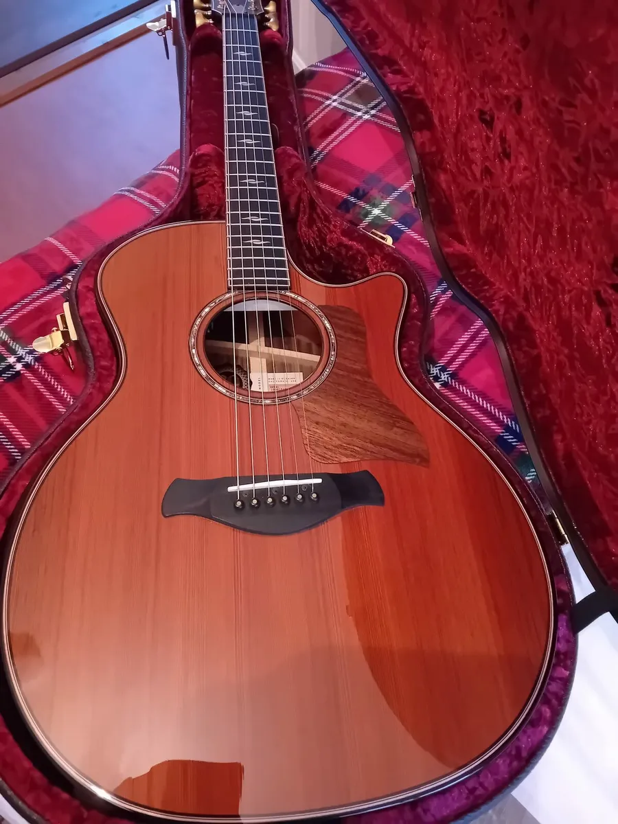 Taylor Builders Edition 814ce Sinker - Image 1