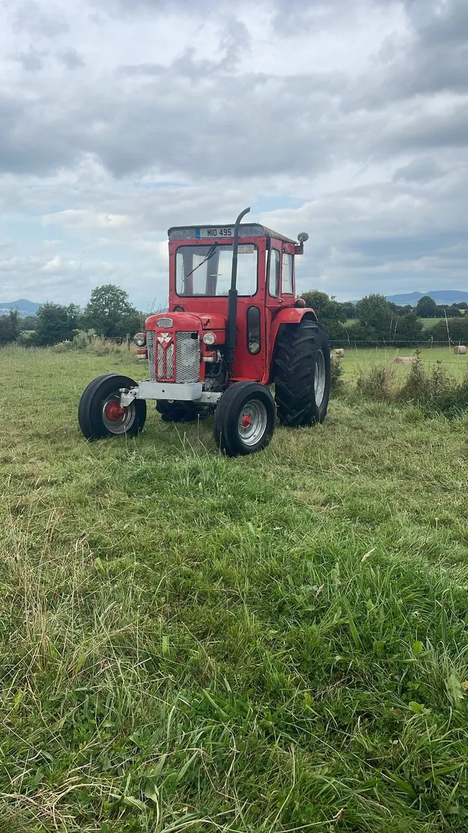 Massey 65 with full cab power steering - Image 3
