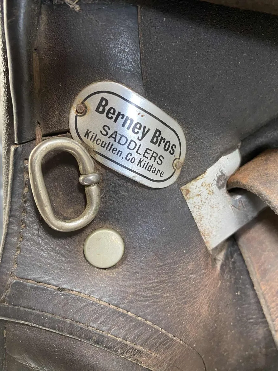 Saddle - Image 4