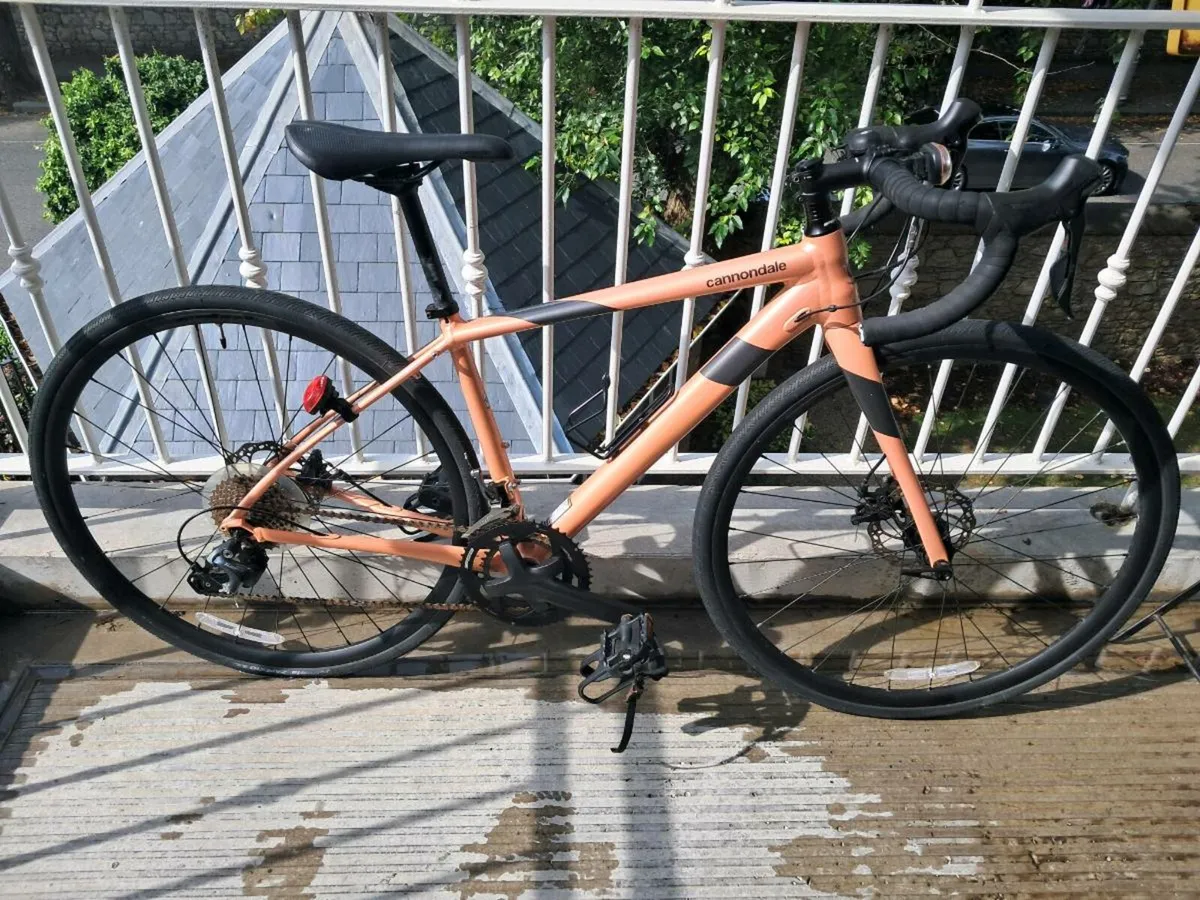 Cannondale Synapse size 48 frame for lady - Image 2