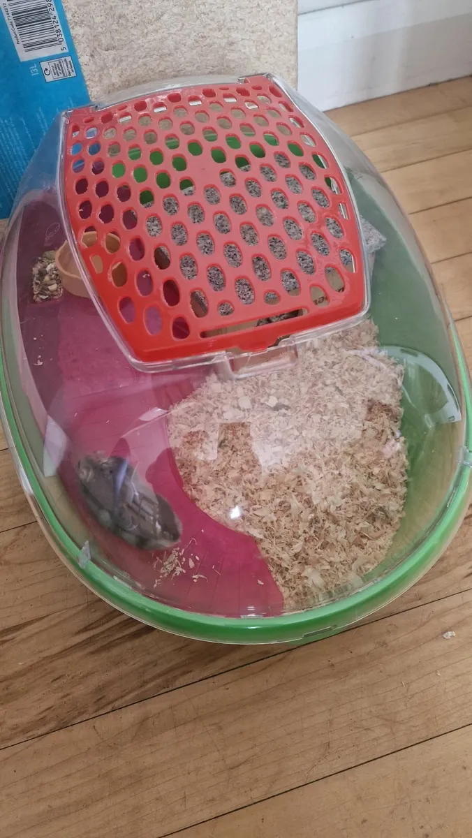 Hamster Enclosure permanenet plus travel box and t - Image 4