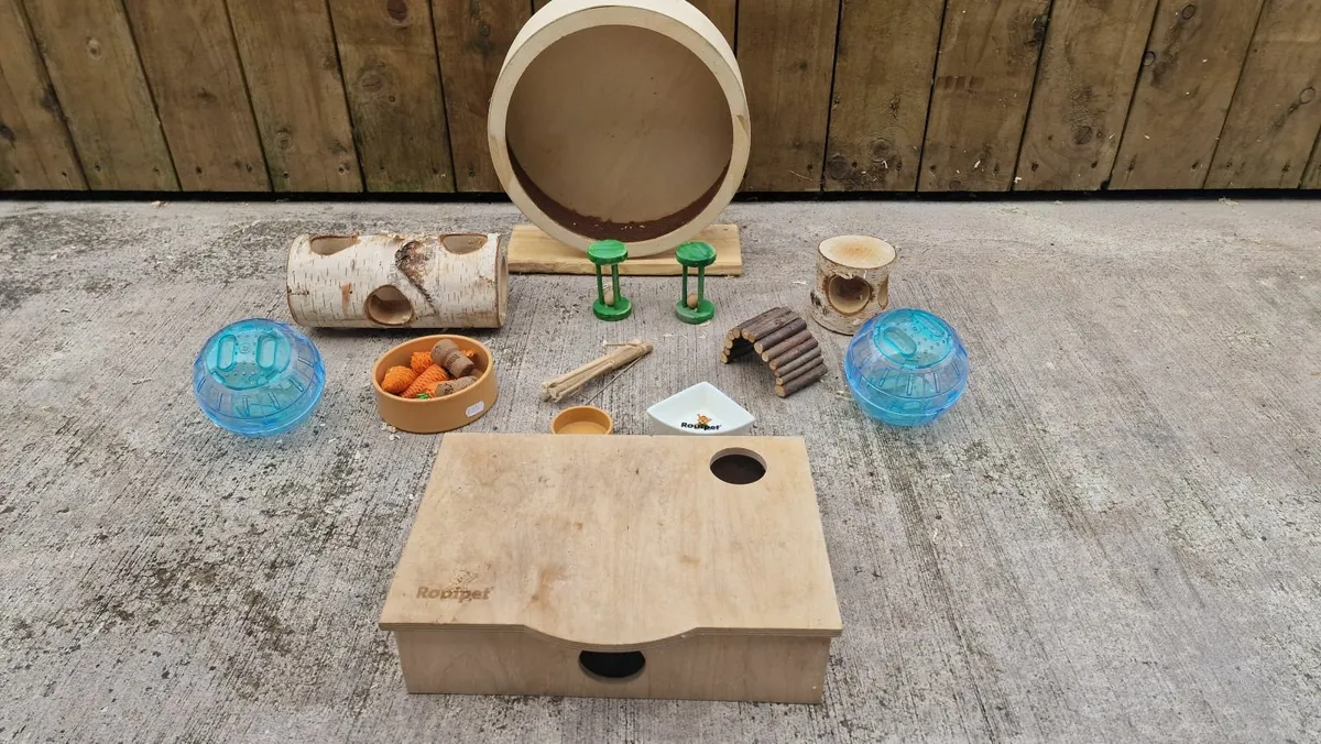 Hamster Enclosure permanenet plus travel box and t - Image 3