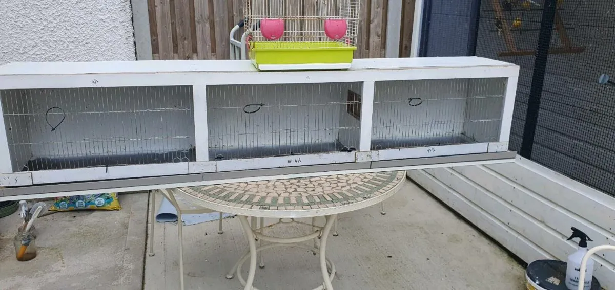 Bird cages - Image 2