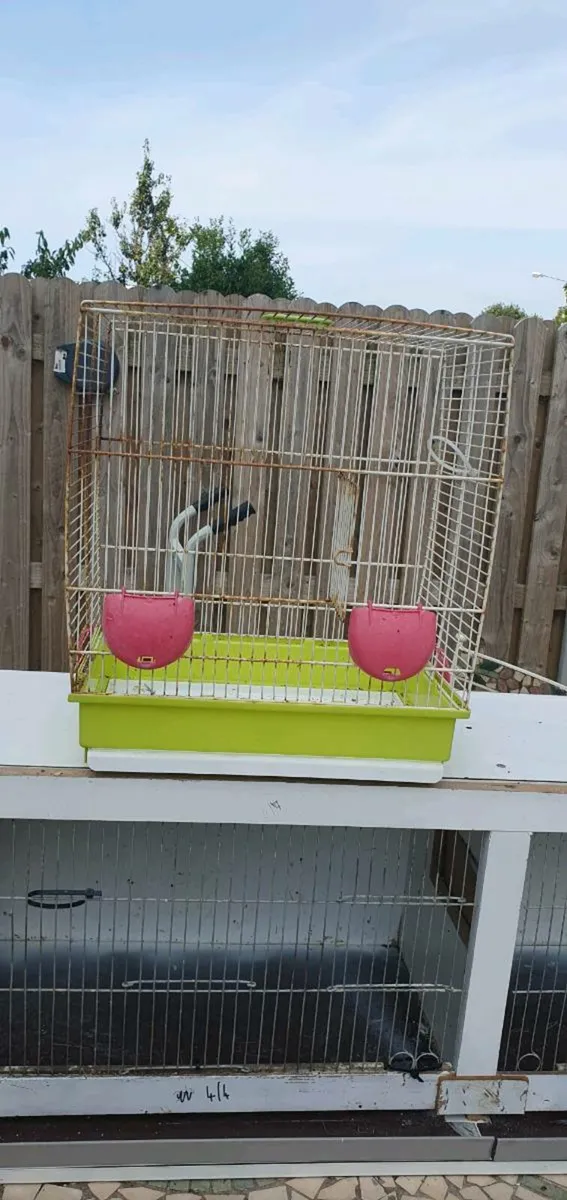 Bird cages - Image 3