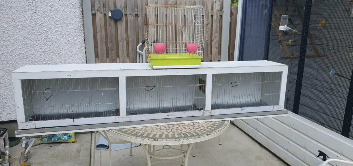 Bird cages - Image 4
