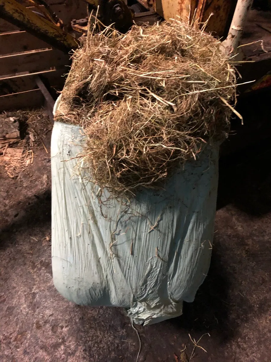 Small square bales of haylage - Image 2